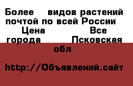 Более200 видов растений почтой по всей России › Цена ­ 100-500 - Все города  »    . Псковская обл.